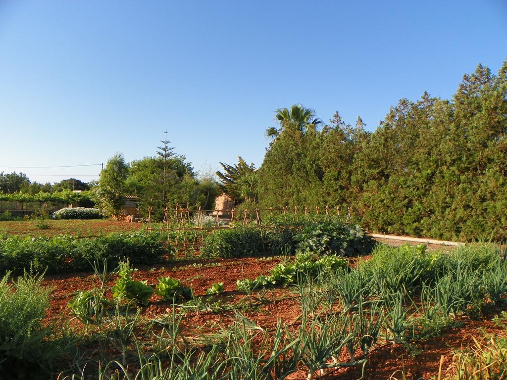 Agroturisme Can Bessol S'Horta Exterior foto
