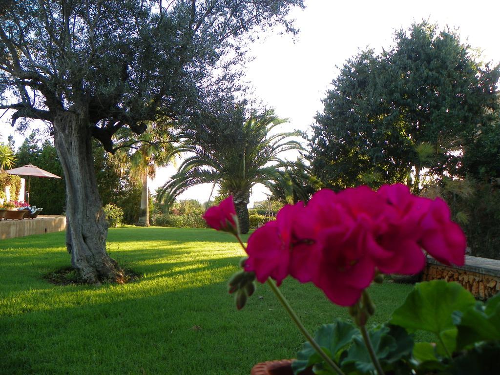 Agroturisme Can Bessol S'Horta Exterior foto