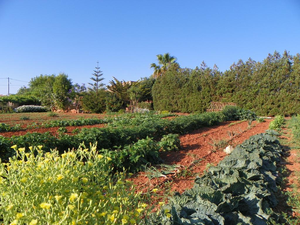 Agroturisme Can Bessol S'Horta Exterior foto